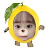 peanutmiffy