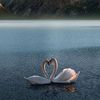 livelovelifex111