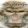 user484151461