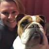 bulldogzoeboo