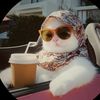 sara_7sona