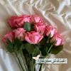 ashuoda_24