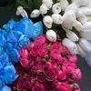 blomistir