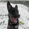 mila_beanstheshepsky