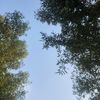 user64515681