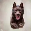 oozanx