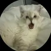 grav3eyk
