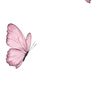 aalsh.96