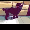 rhianna_frenchpoodle