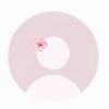 user486952544