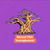 vuong.bonsai