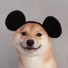 ccccccc3697