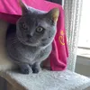 milo_0825