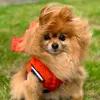 charliebearpom
