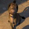 Donkey