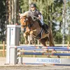 finnhorse_valonvoima