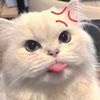 sarahhh_242