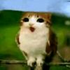 sstxr_bxby_xx