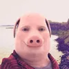thesnailking224