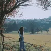 saaraaluaanaa