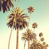 la_282828