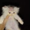 mygmochii