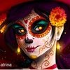 cinnamon_aniz