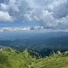 mostlyandreea