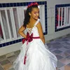 pietramachado29