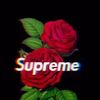 xavier_2xx