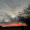 ray_90902