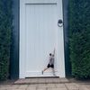 jordanbeazley