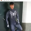 taylordeivid24
