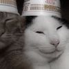 eatkayke