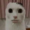 sam_fr_27