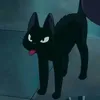 fredephemere