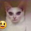 whyifme