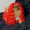 bizhota_szn66