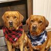 chiefandmurphy