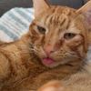 kittybyte.e
