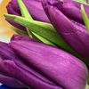 mirinda_7468