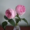 shop_xinh_95