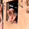 2153420054