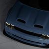 singh.hellcat