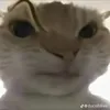 hiuuuuuuuuuuuuuuuuuuuuu