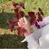 susancyntia92
