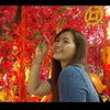 ferlin.lee