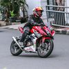 .rofifarhan