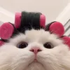 ka0ka6