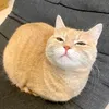 keiscy0